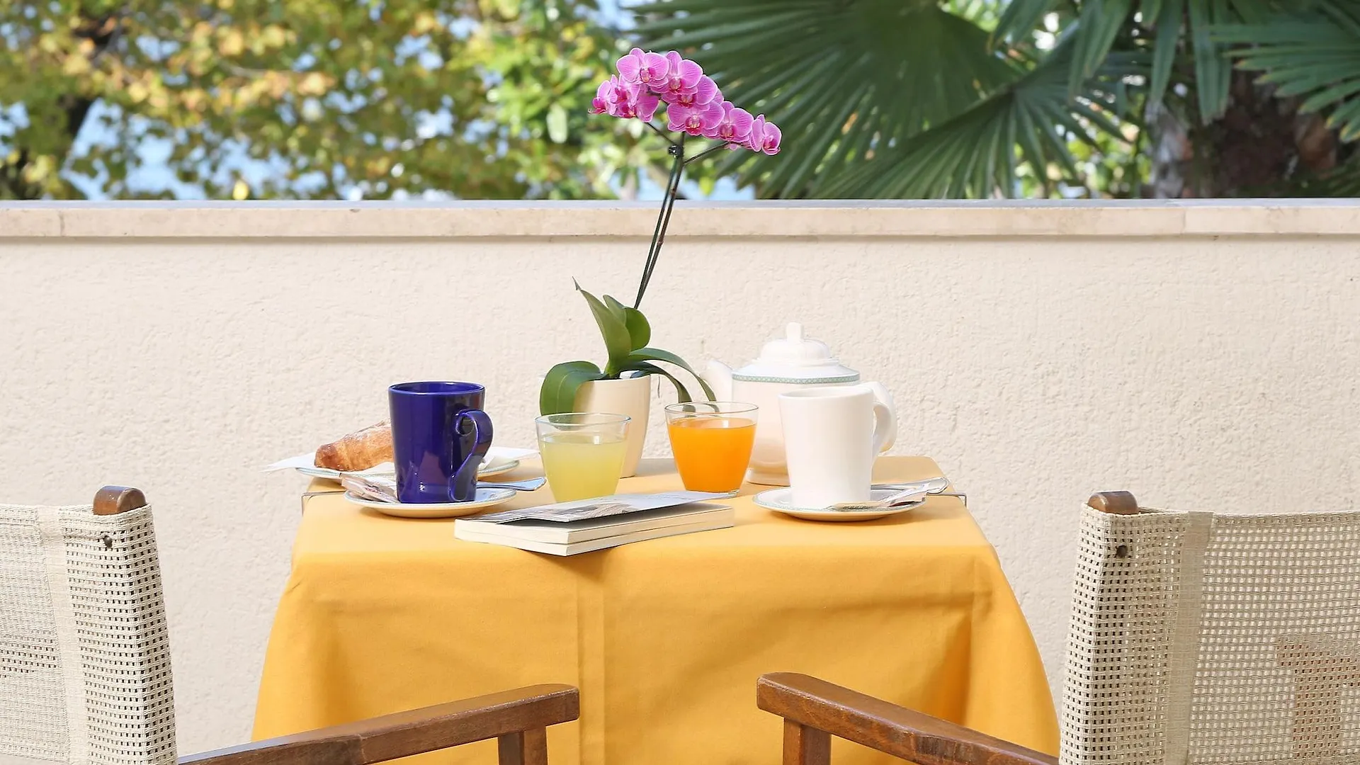 Hotel Nettuno Bardolino